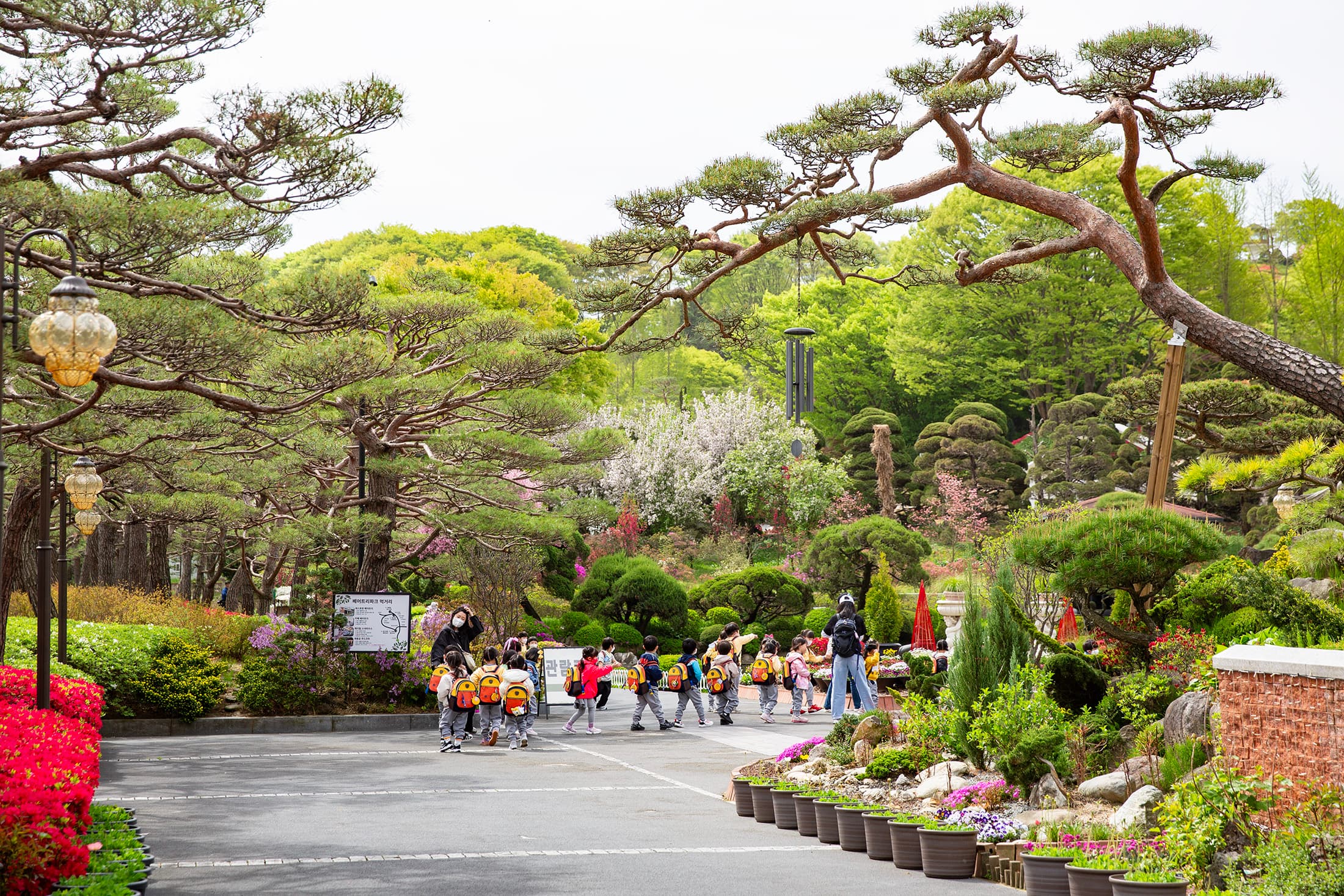 Beartree Park擁有上千種植物收藏，四季皆呈現不同風景。
