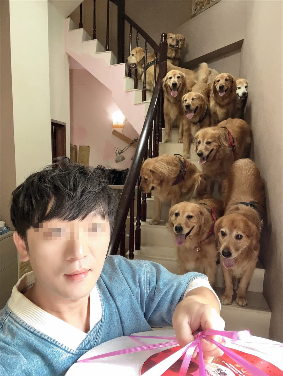 陳姓飼主（圖）飼養許多黃金獵犬。（翻攝IG）