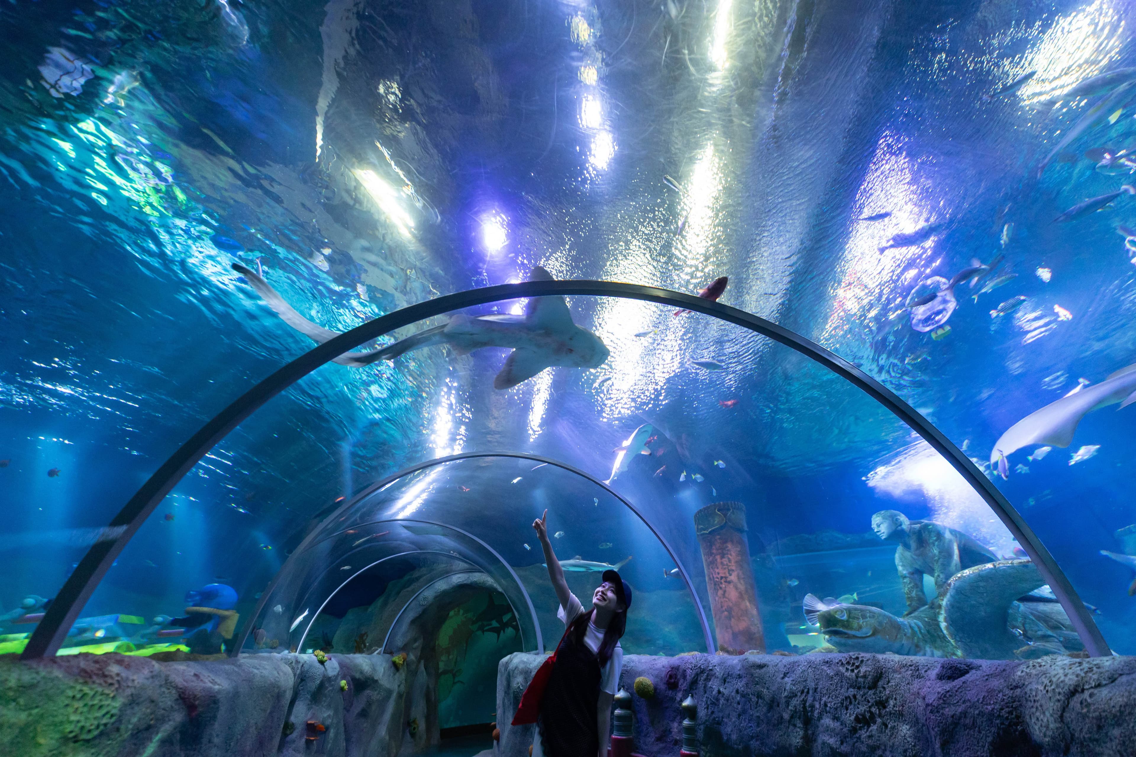 「名古屋SEA LIFE水族館」於2018年4月15日開幕，結合樂高模型打造沉浸式的海底世界。