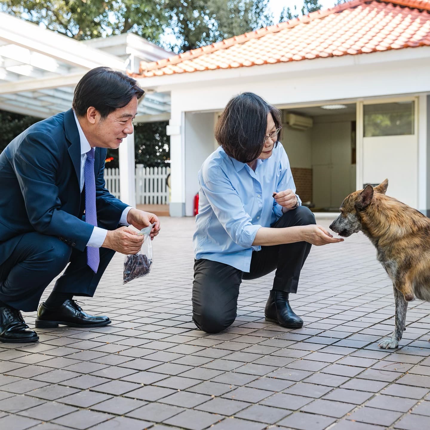  蔡英文2024年曾帶自製的牛肉乾去找賴清德愛犬斑斑（圖）、Murphy。（翻攝蔡英文Threads）