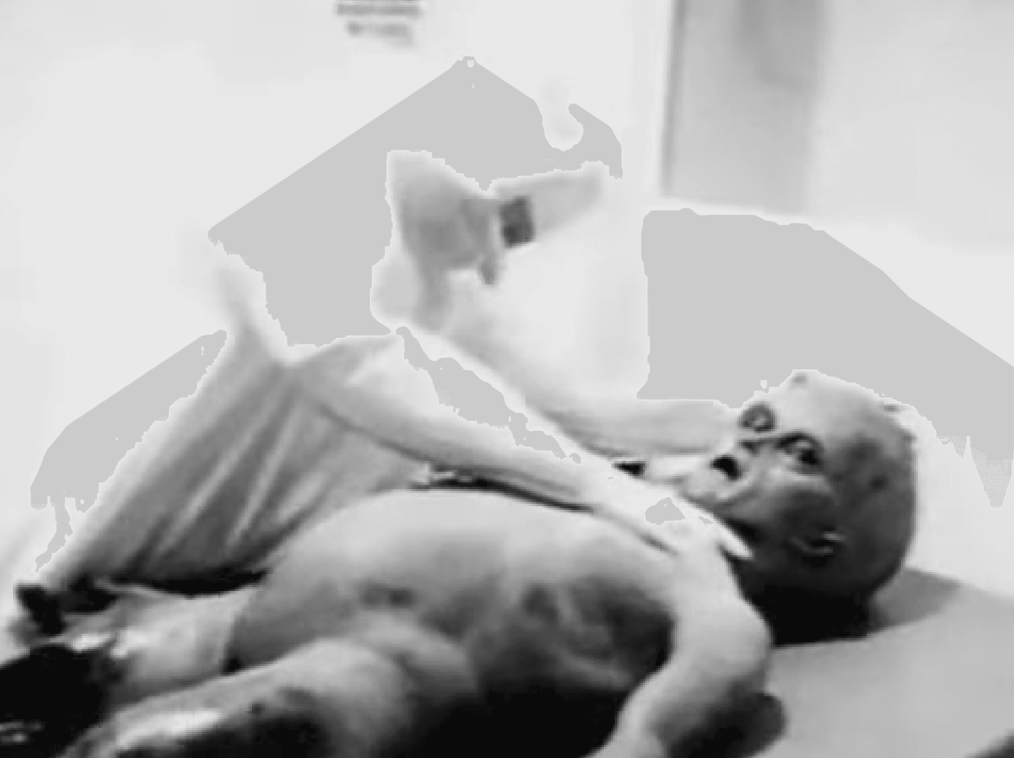穿著防護衣的人員在影片中進行解剖，但後來被證實是以道具與動物內臟拍攝的惡作劇。（翻攝 RadioRaider YouTube頻道）