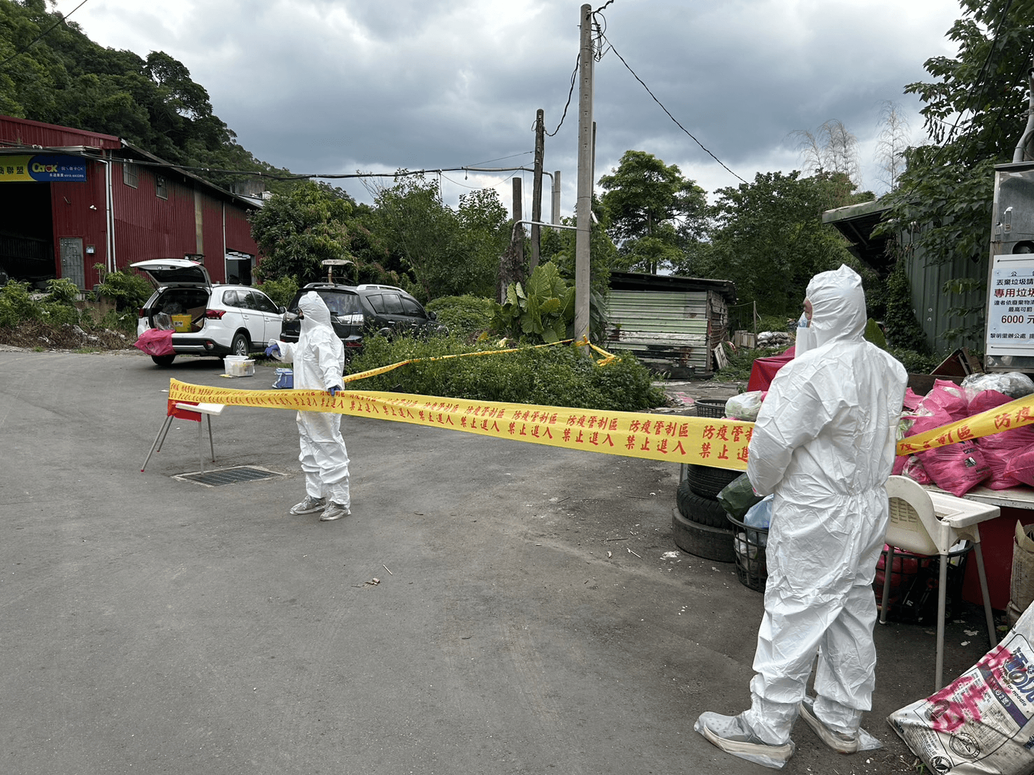 泰山區泰林路3段330巷雨水下水道出現豬屍，拉起防疫封鎖線。（新北動保處提供）