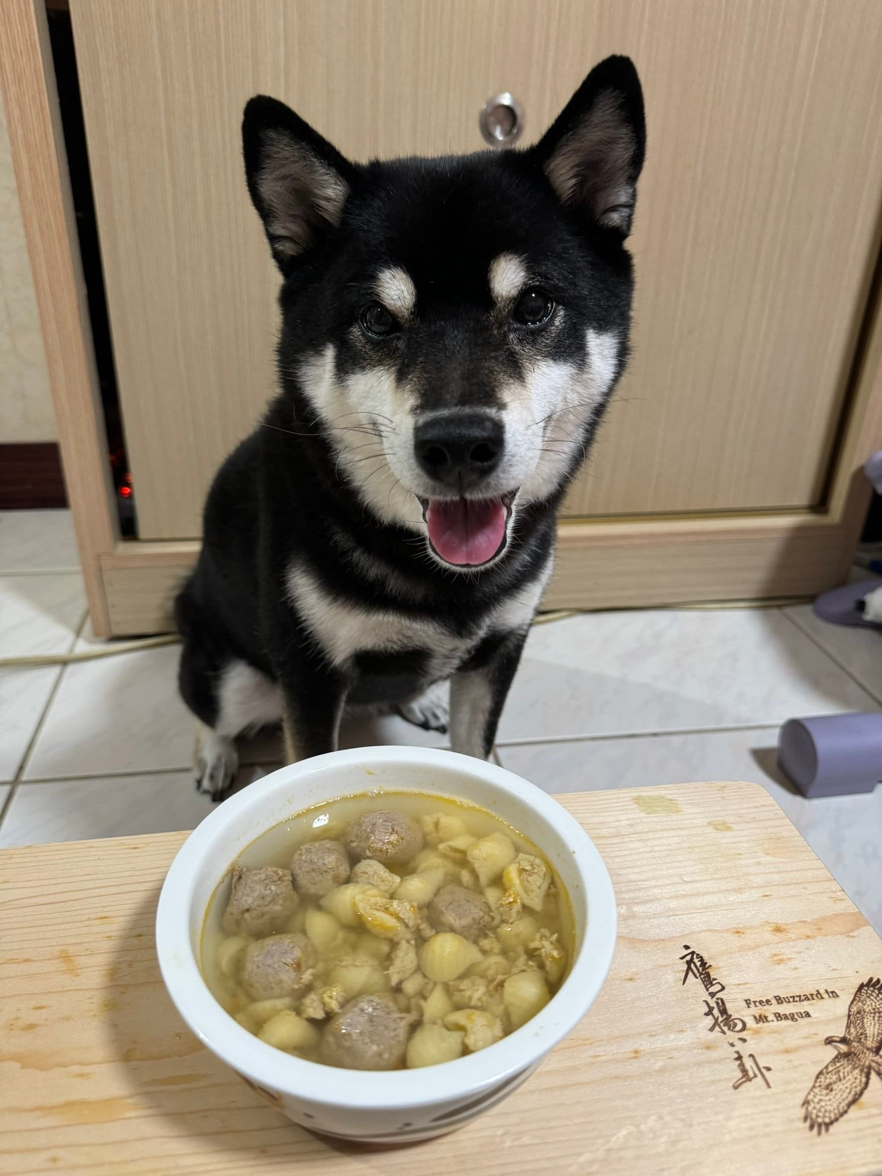 飼主購買寵物食品時應注意購買產品包裝標示完整，才能讓毛孩安心享用美味大餐。（北市動保處提供）