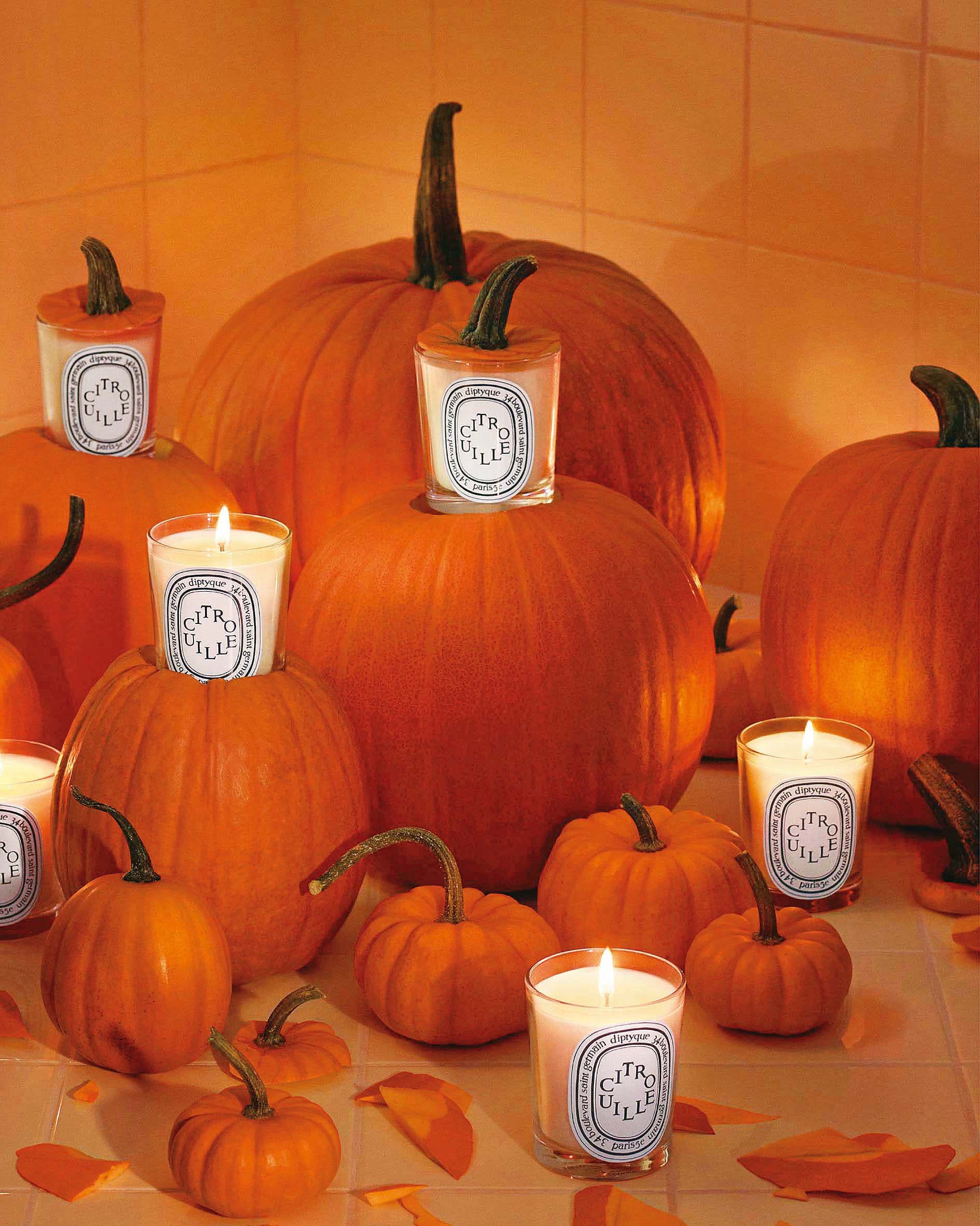 Diptyque限量南瓜香氛蠟燭 NT$2,300／190g。（10/10 APOTHECARY提供）