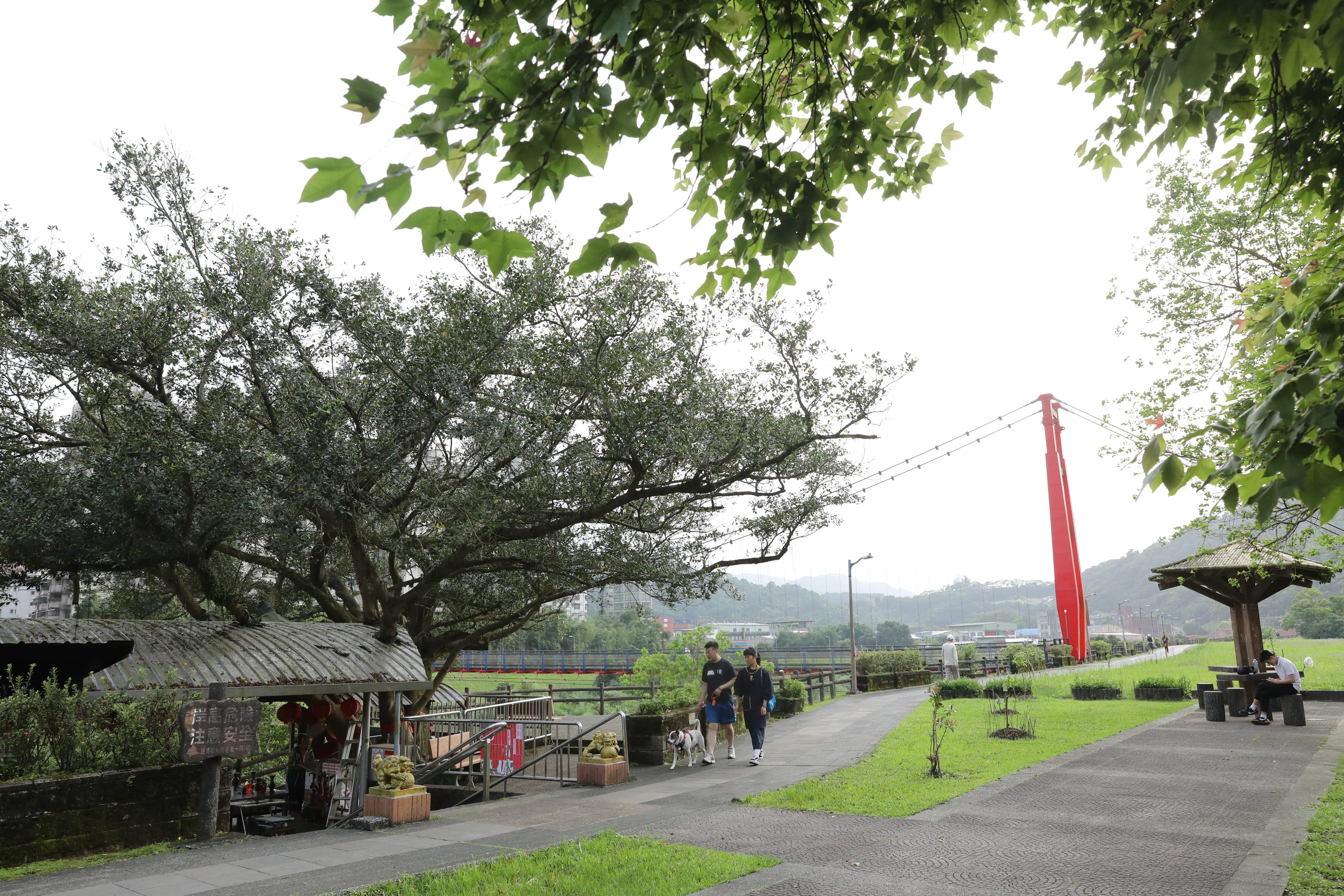 碇內吊橋連接基隆河兩岸，是居民日常散步與通行的路徑。