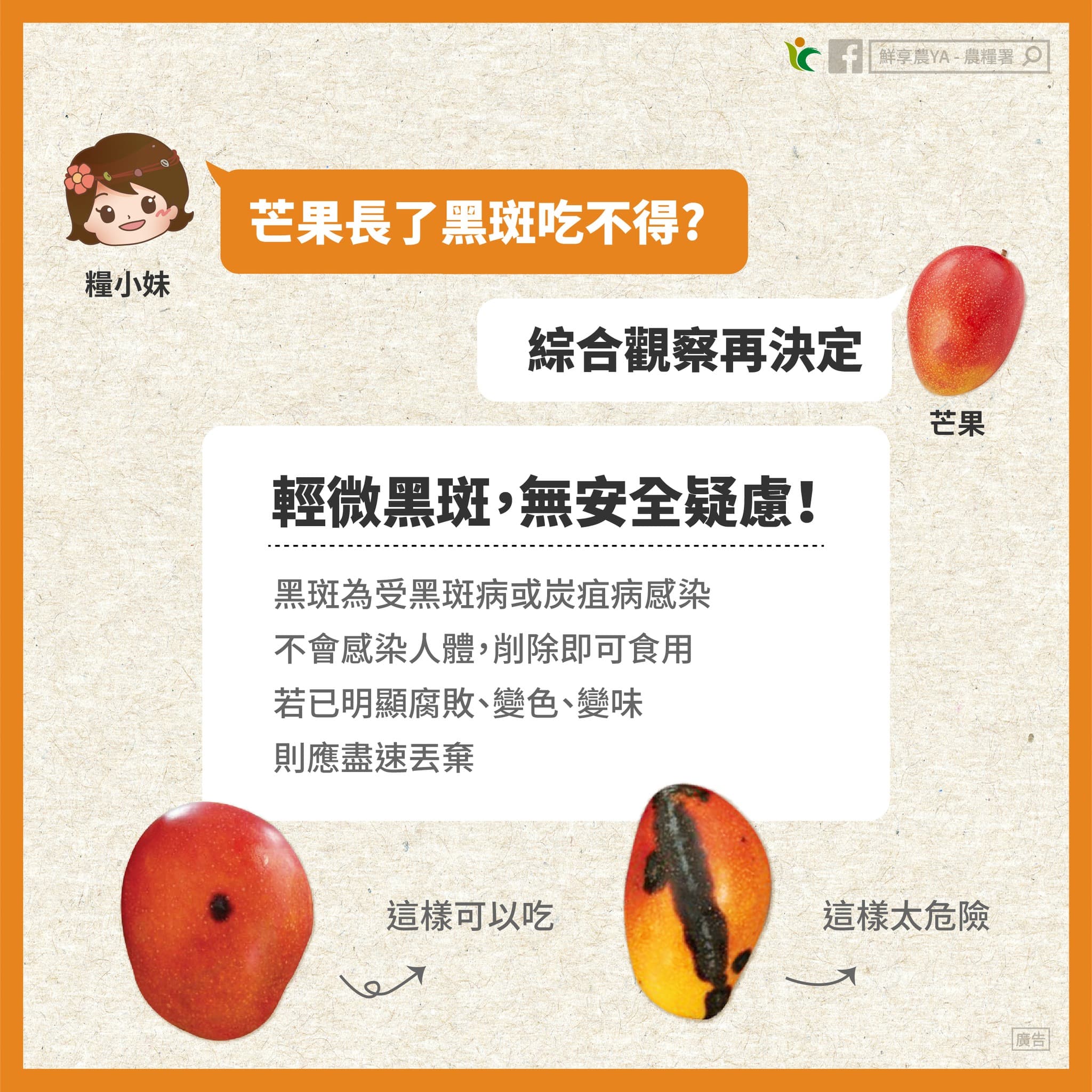 芒果炭疽病不會傳人，削除黑斑後果肉沒有腐敗變色仍可安心食用。（翻攝自鮮享農YA - 農糧署 臉書）