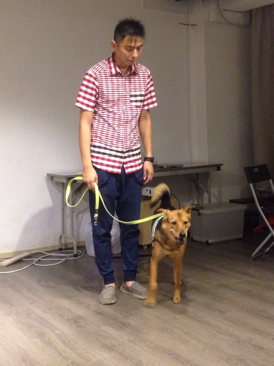 犬類行為專家熊爸王昱智（翻攝自臉書）。