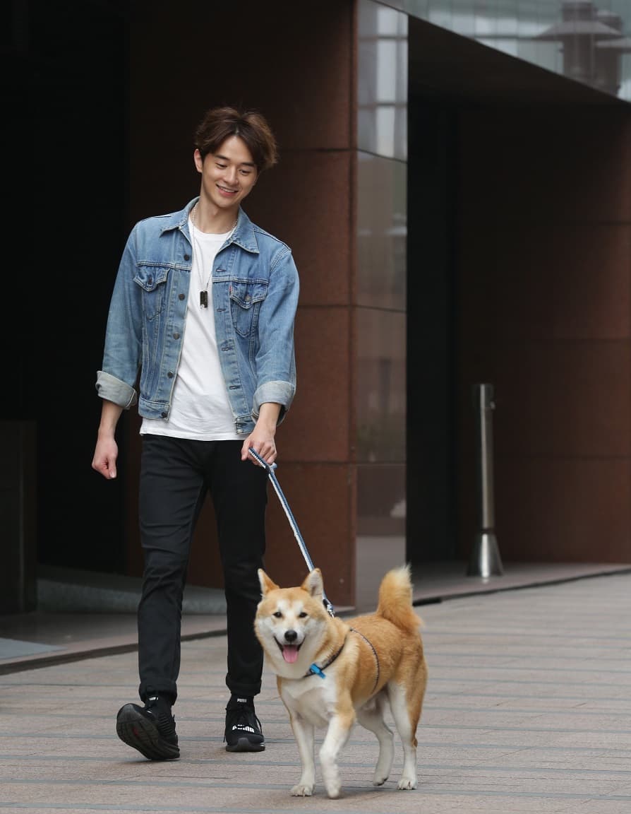 張軒睿有犬系好感顏值，跟柴犬彷彿有兄弟臉。