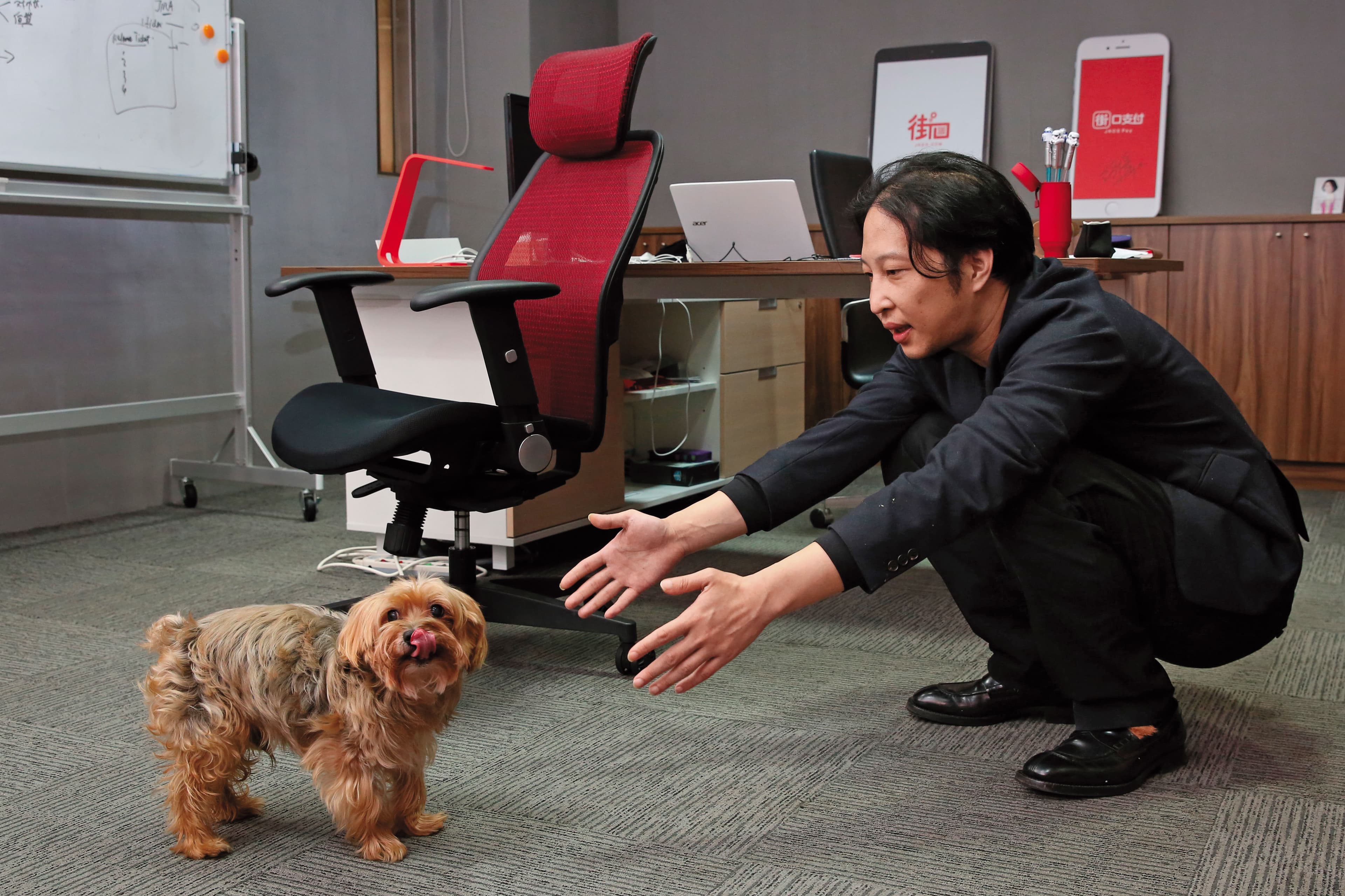 碰上愛犬，冷靜的胡亦嘉難得出現少男心。