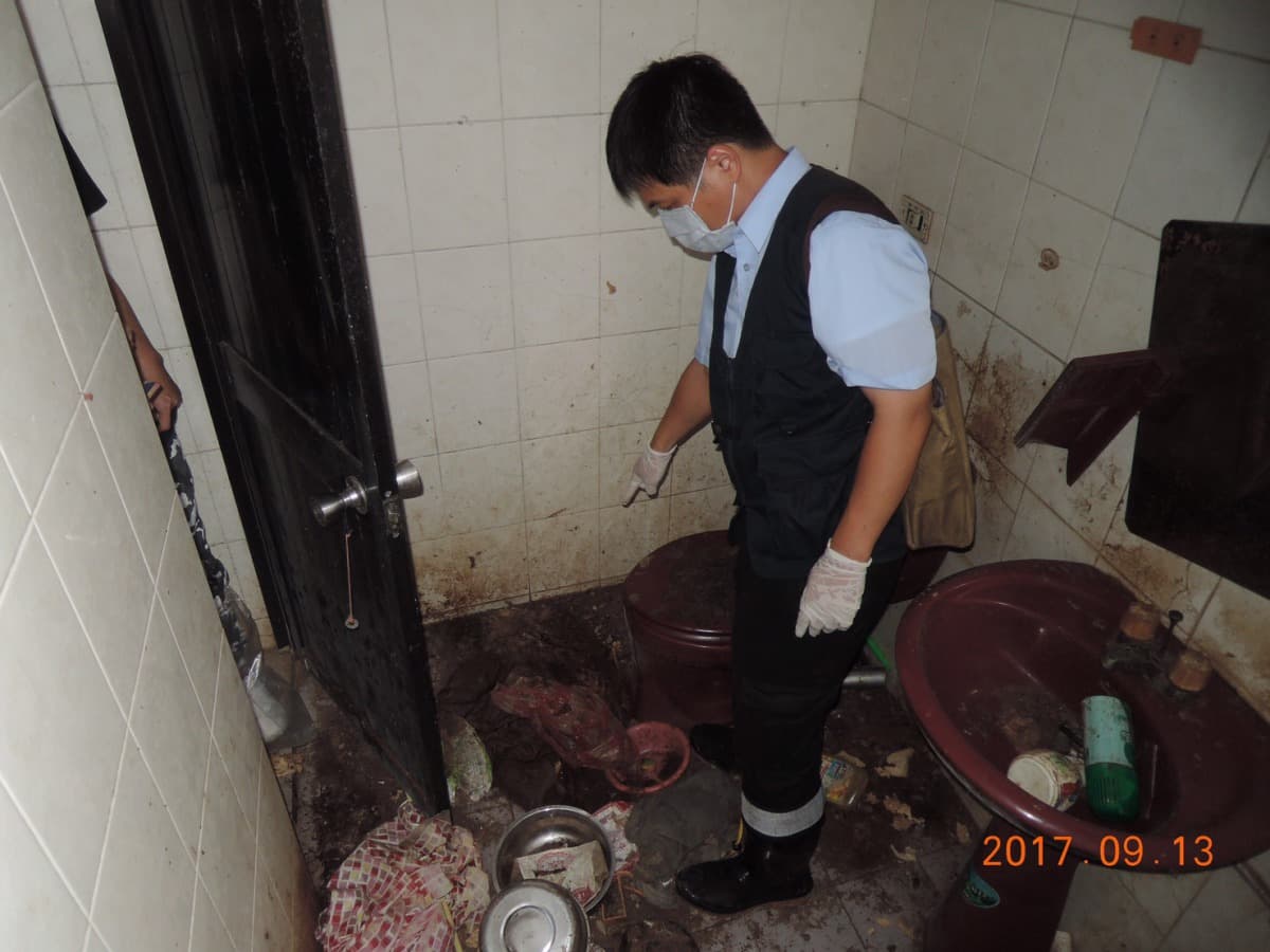 陳女疏於照顧，造成14隻貓遭活活餓死。（翻攝畫面）