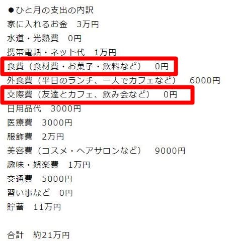  神田志保月支出。（翻攝自Holics網站）