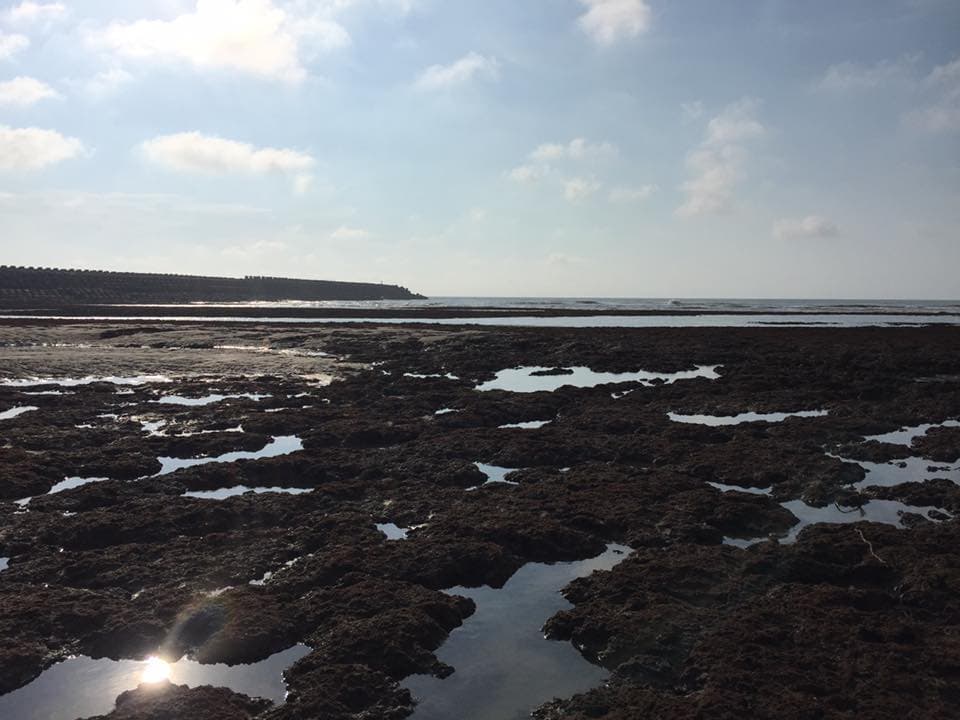 中油打算在桃園珍貴的藻礁生態地建第三天然氣接收站，受民眾大力反對。（翻攝自珍愛桃園藻礁）