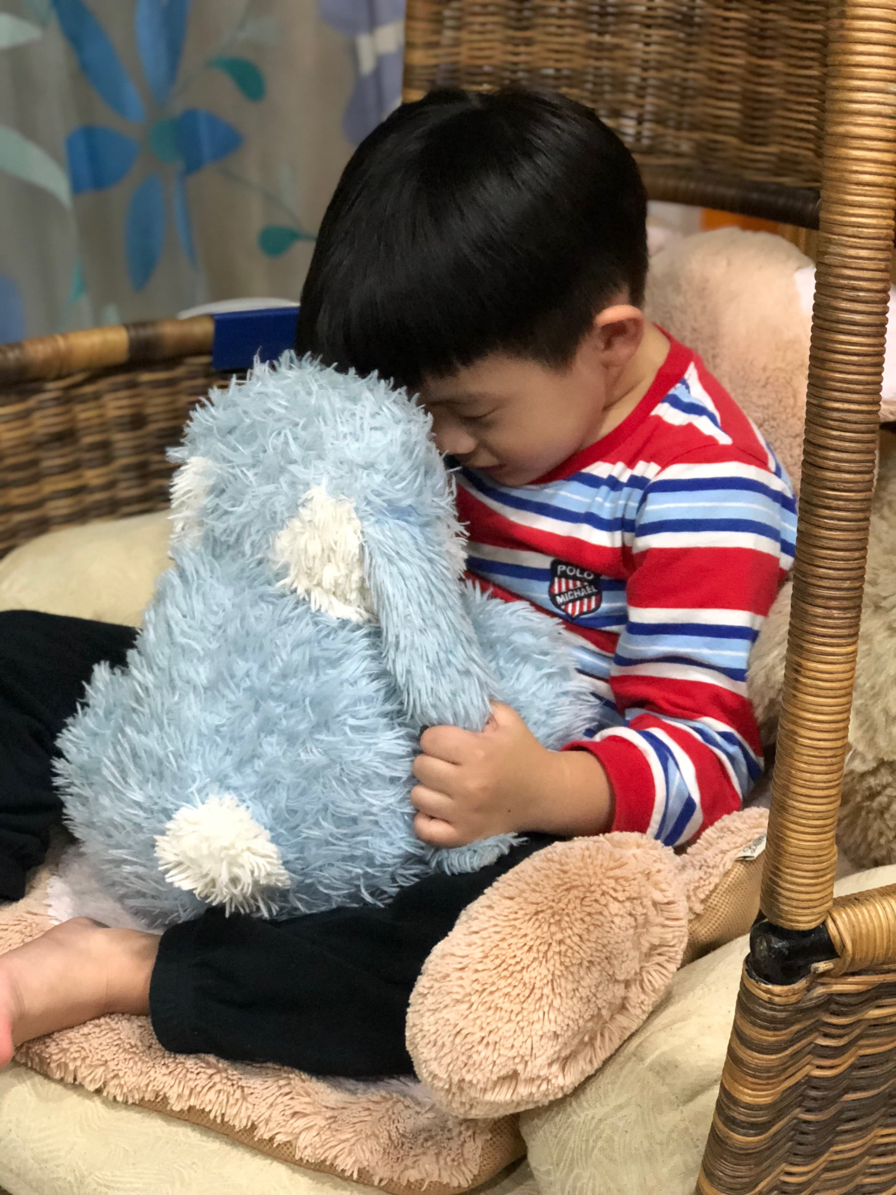 絨毛玩偶也是常常造成孩子不適的原因之一，多補充益生菌，調整家中孩童體質。