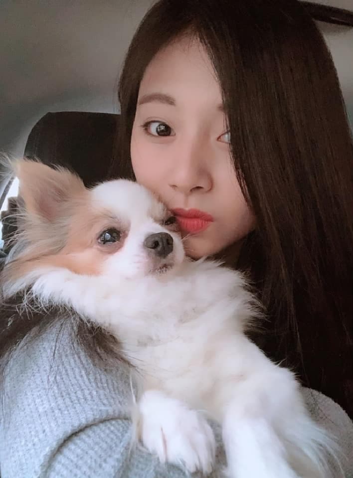 周子瑜之前常po美美的照片或她與愛犬的合照。（翻攝自twice IG）