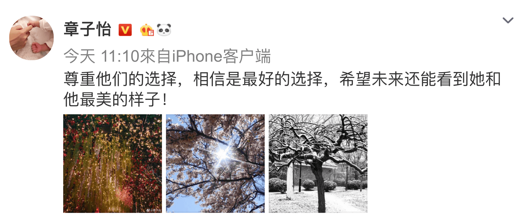 章子怡微博以3張風景圖片祝福雙宋仍有美好未來。（翻攝自章子怡微博）