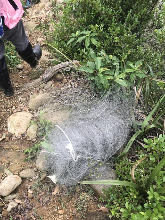 林管處拆鳥網。（林管處提供）