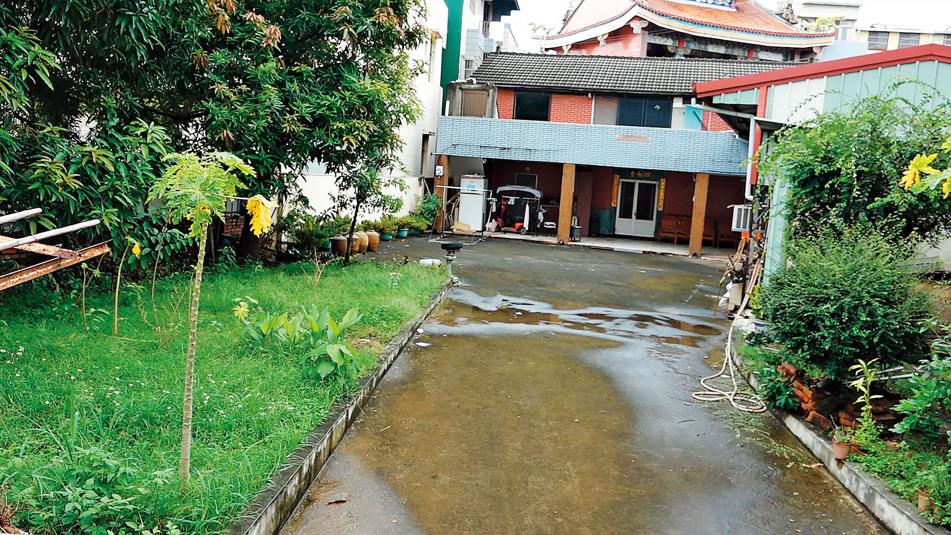 嫌犯楊鴻儒在住家後院，將死者屍體裝進桶子。
