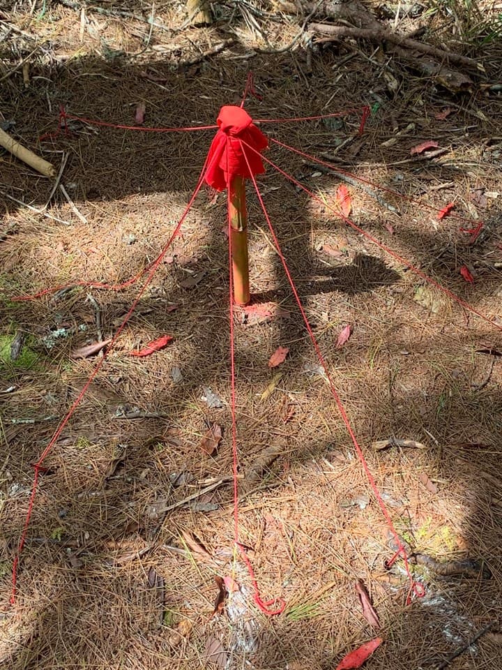  塔塔加東埔山登山步道旁矗立一根包裹紅布的木樁，讓不少人看了心裡發麻。（翻攝自臉書社團登山借問站）