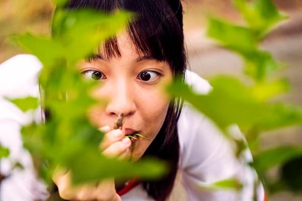 王渝萱以《你的孩子不是你的孩子---孔雀》入圍金鐘獎。（公視提供）