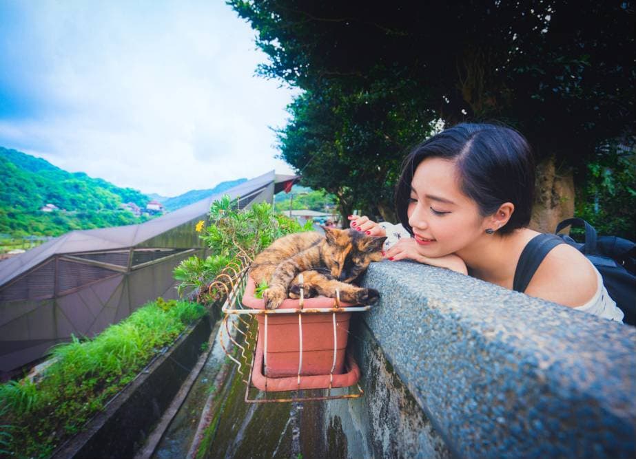 猴硐貓村。（翻攝自新北市觀光旅遊網）