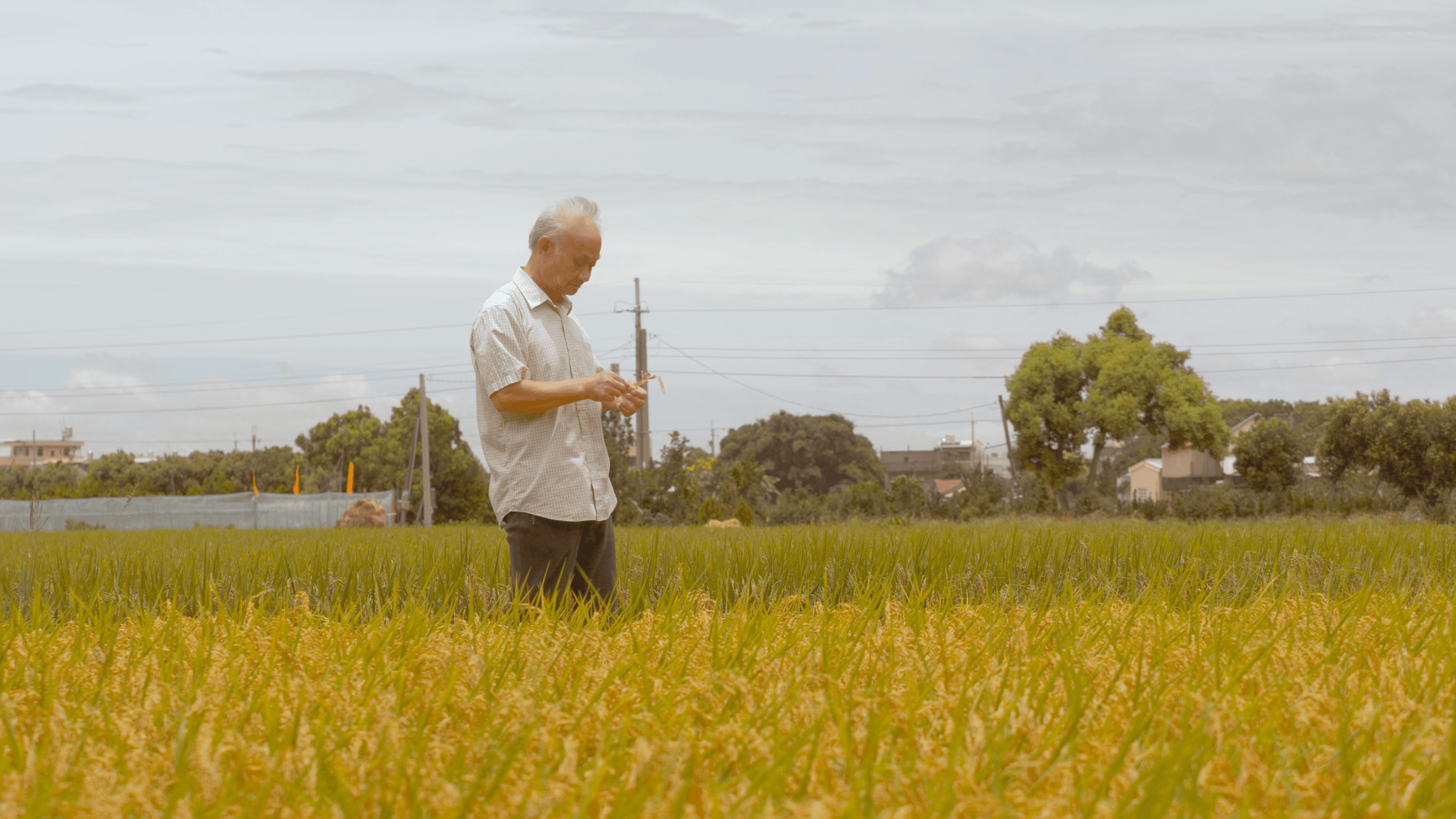 他們在島嶼寫作第三系列《甜蜜的負荷》吳晟。（目宿媒體提供）