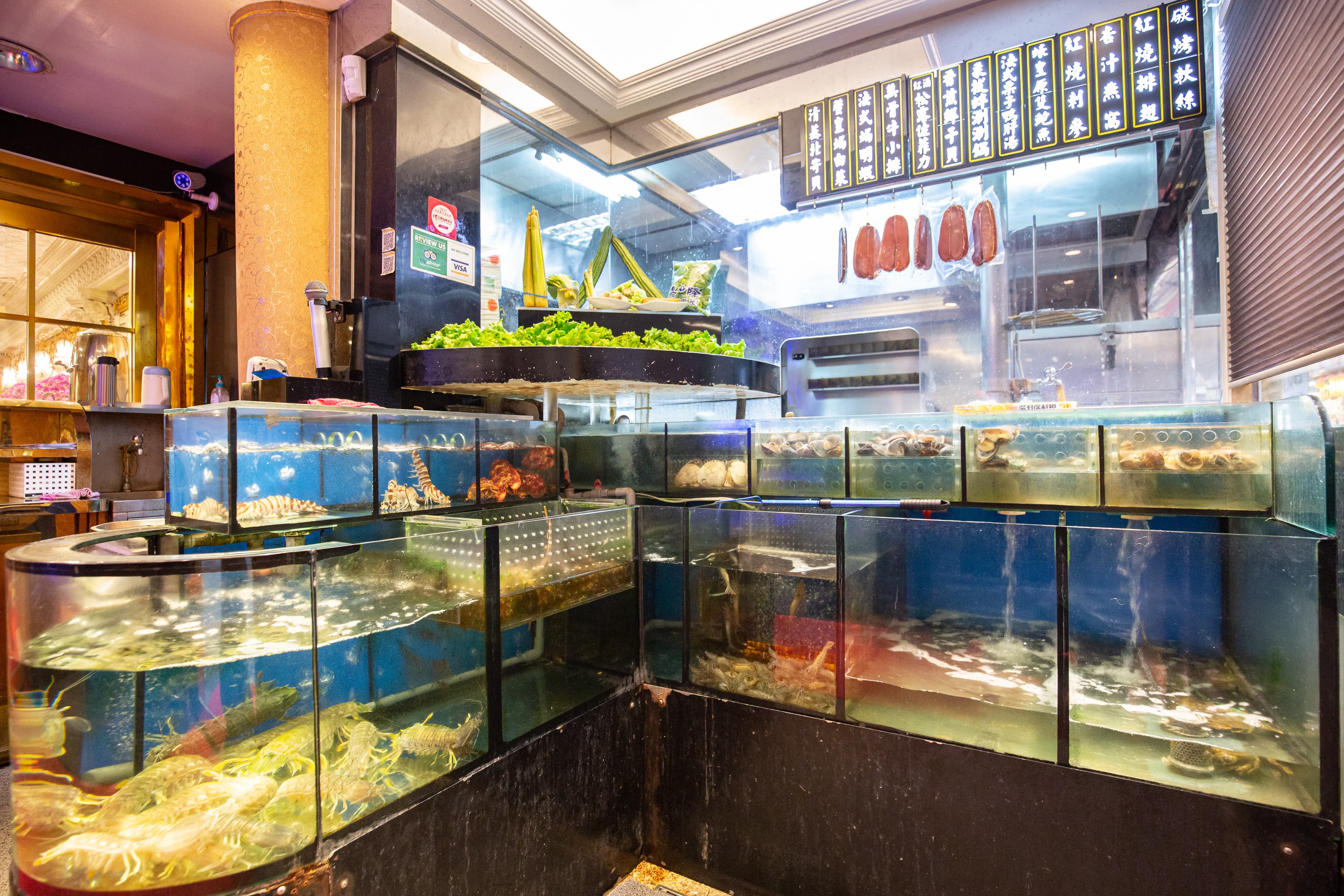 一踏入門就看見水族箱裡的活跳海鮮。