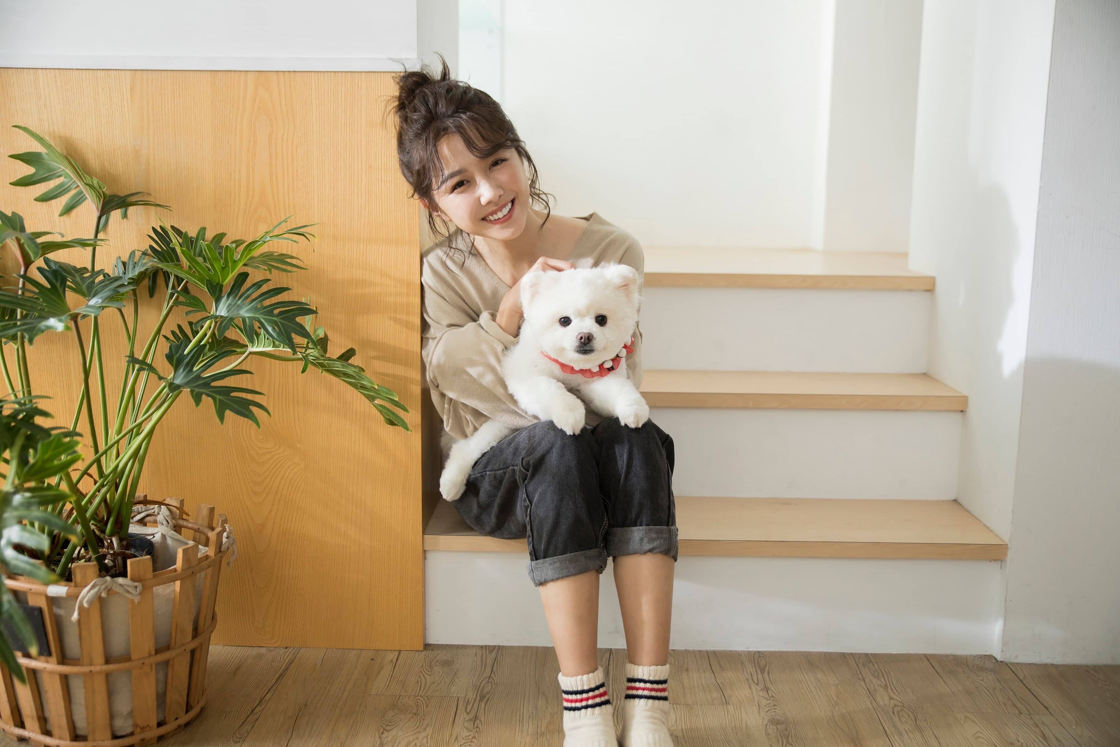 邵雨薇和愛犬阿筆一起入鏡楊丞琳的〈泥土〉MV。（環球唱片提供）