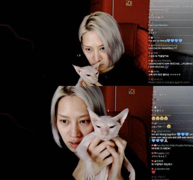 希澈曾幫忙照顧布林，將他照顧成一隻健康的貓咪。（翻攝希澈直播）