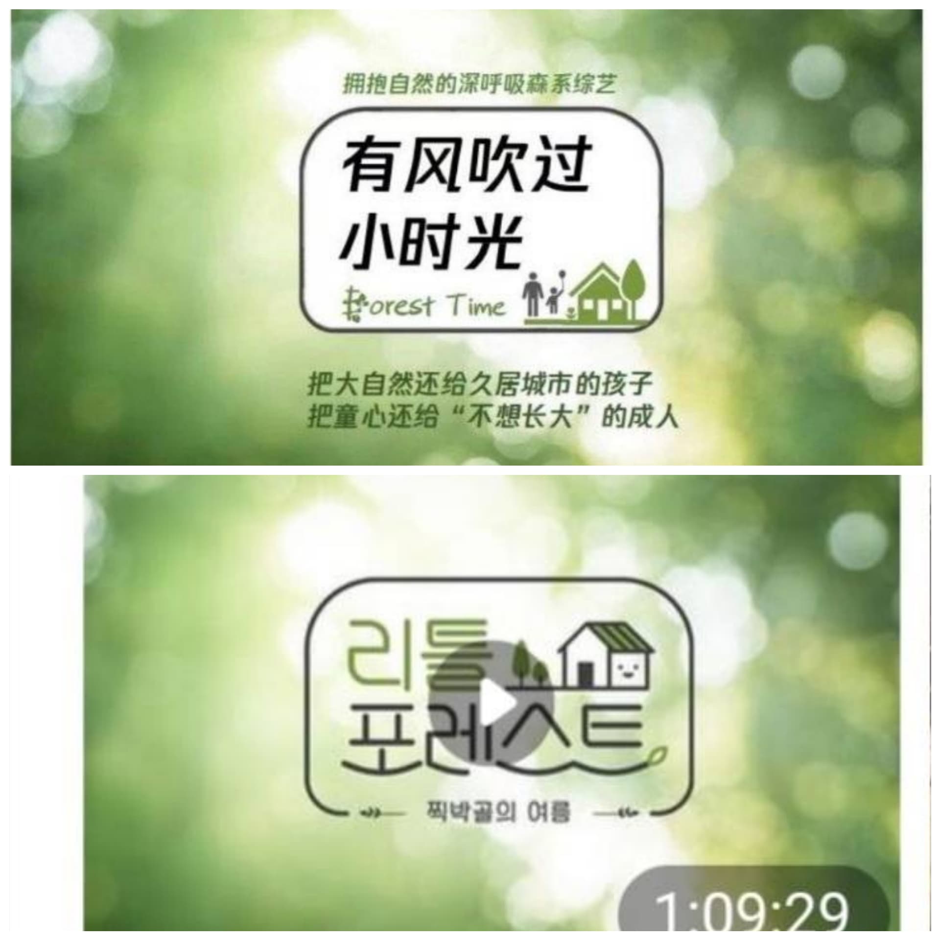 山寨版連主視覺影像都直接盜用韓國原版。（網路圖片）