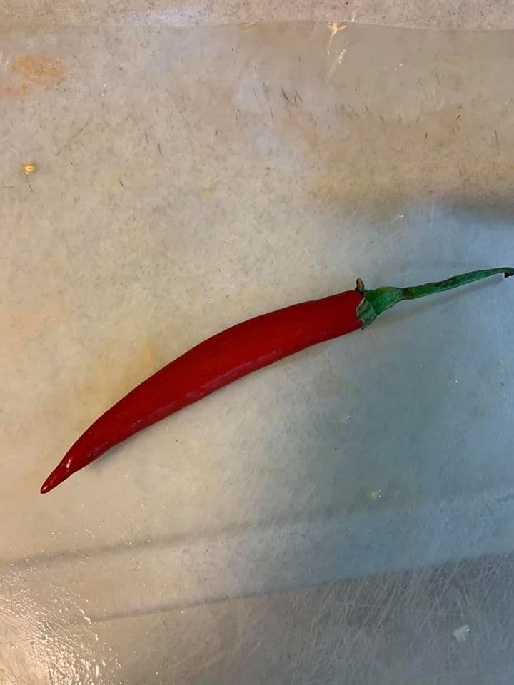 這根辣椒是秘密武器。