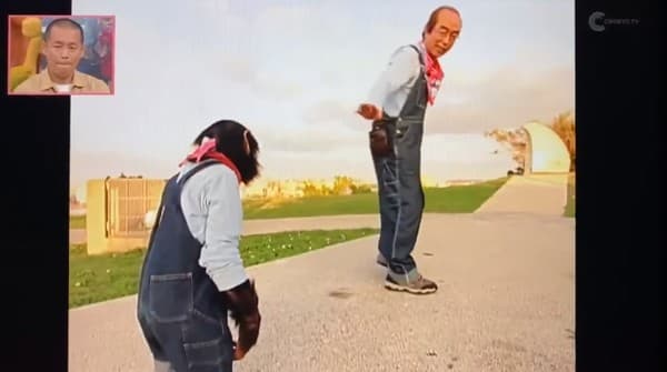志村健錄影結束道別，猩猩小龐追上去討抱。（翻攝自推特）