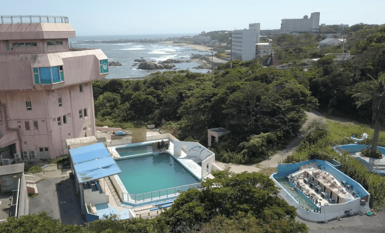 海豚「Honey」泰半生活在僅80平方公尺大的水池中。（Dolphin project官網）