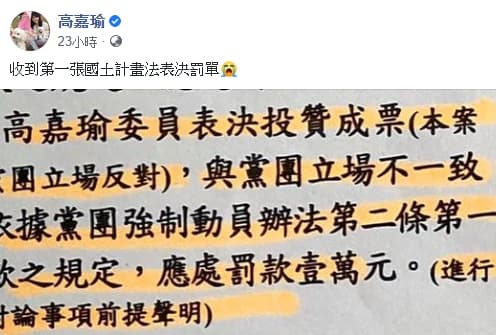高嘉瑜國土法跑票，遭黨內罰款1萬元（翻攝自高嘉瑜臉書）