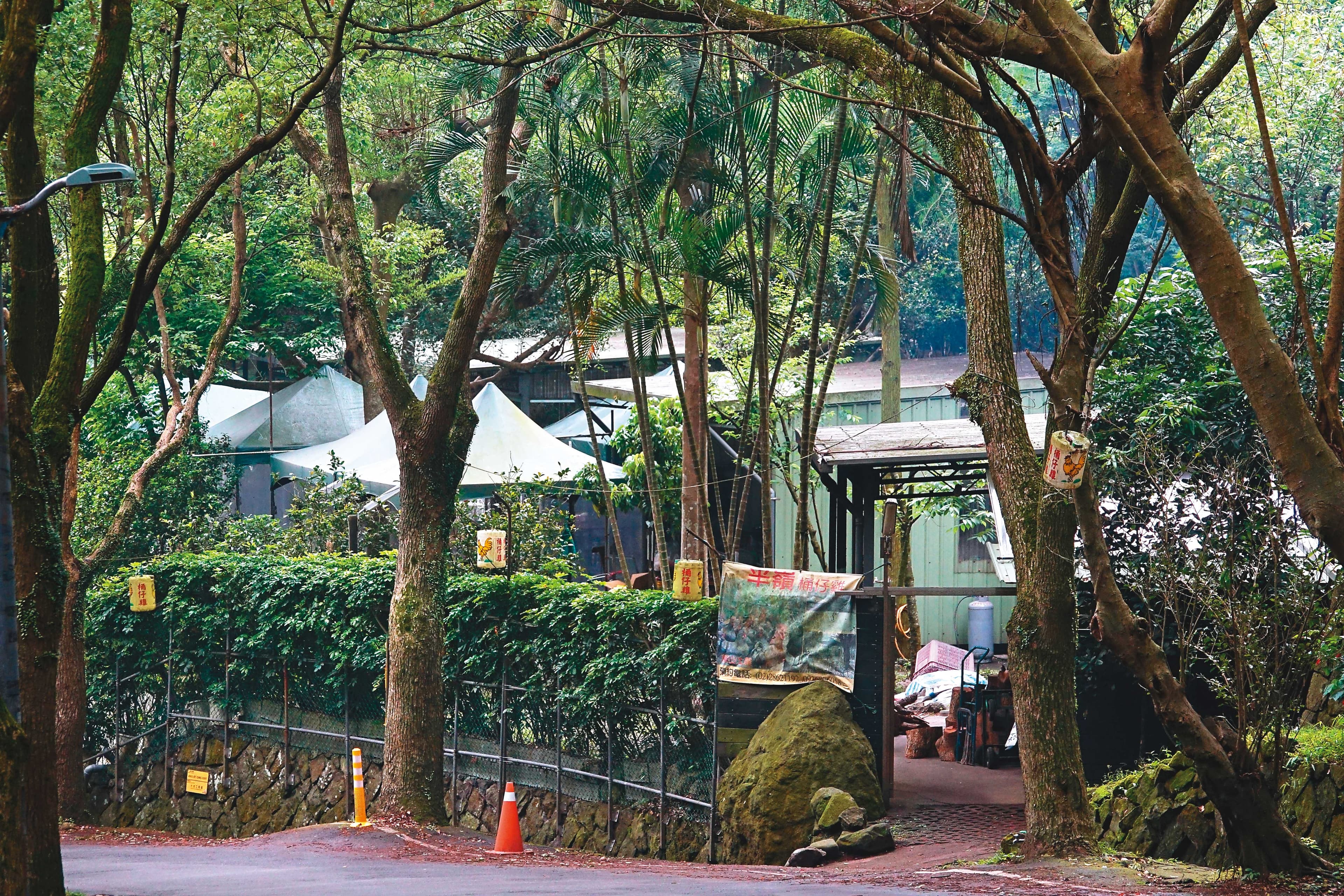 董、凌用餐的桶仔雞餐廳位於紗帽路，環境清幽。