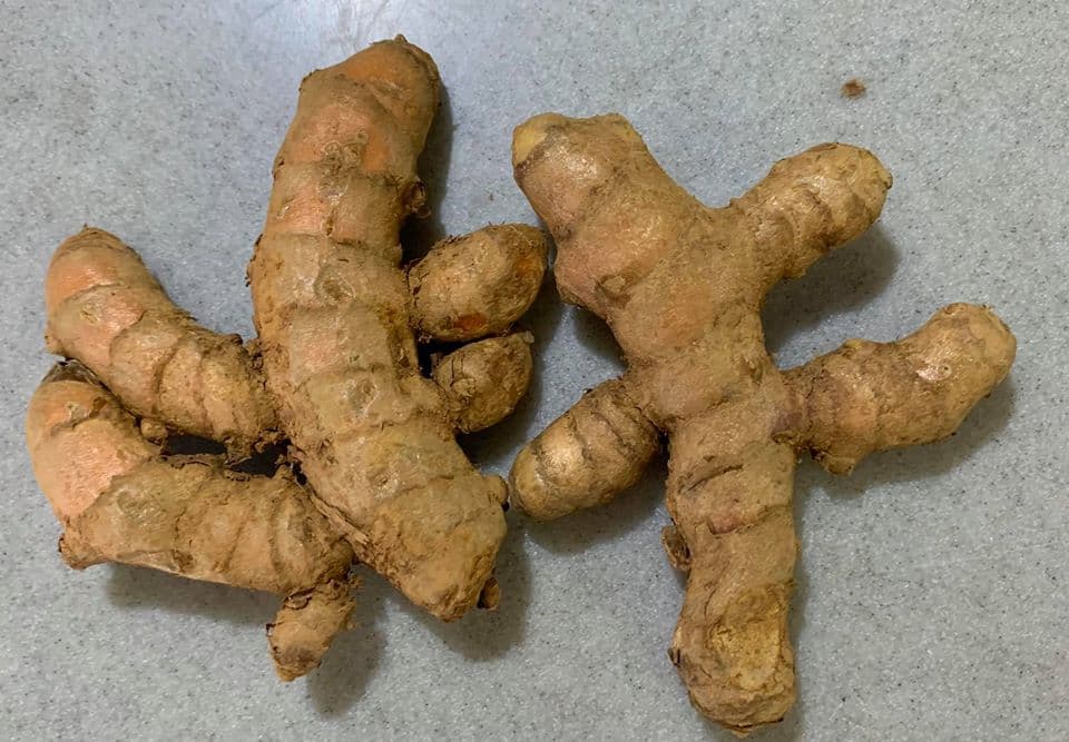 新鮮薑黃2支。