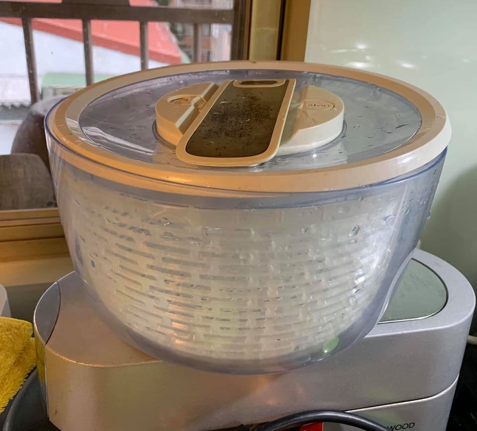 放入生菜沙拉脫水機，去除葉片上的水分。