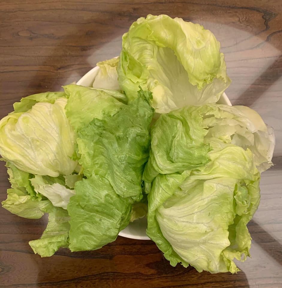 脫去水分後的生菜葉，青翠可口。