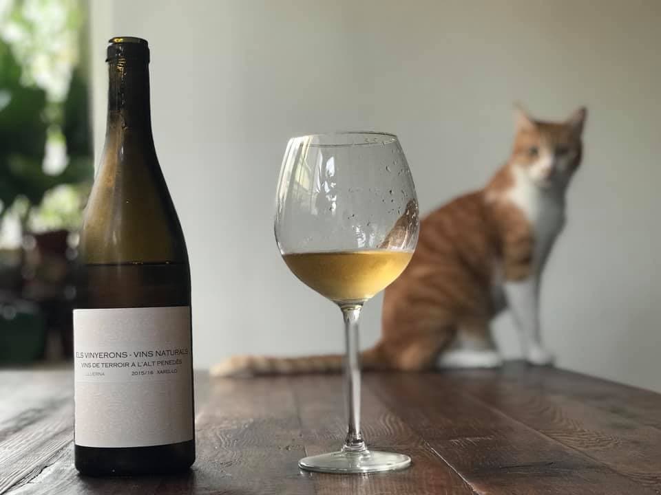 帶有春夏植物新鮮氣息的「Els Vinyerons Vins Naturals, Lluerna, Penedés Spain, 2015/16 」，酸度透亮，乾淨不甜。（50/45 Winehaus，價格請洽店家）