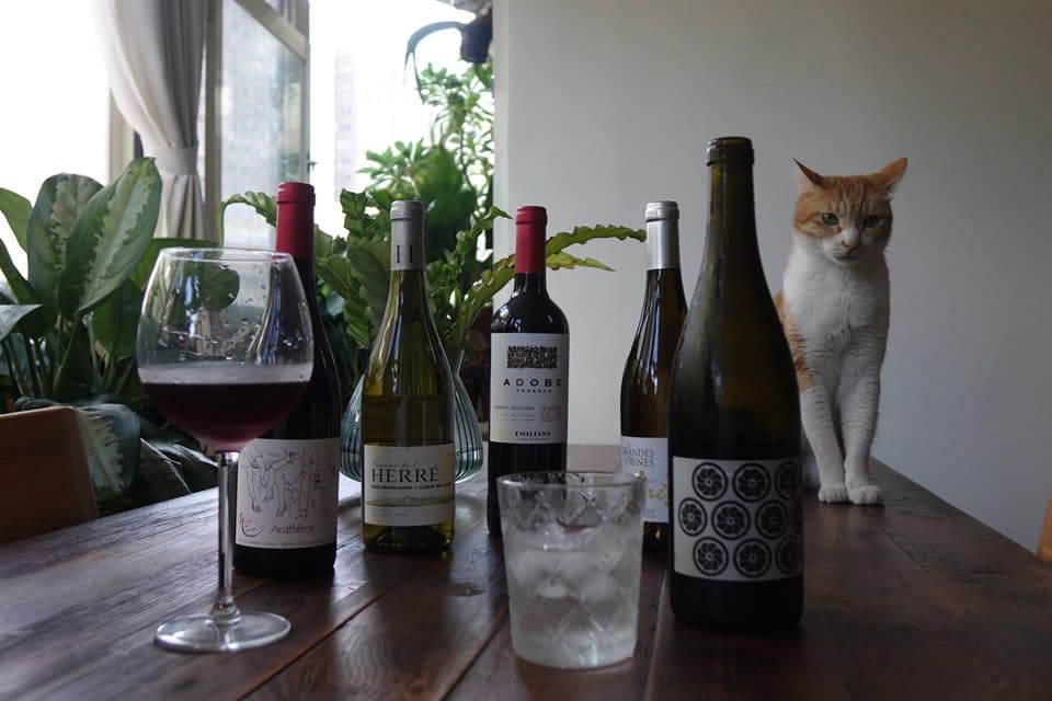 因應防疫在家工作，有酒有喵，很可以。（50/45 Winehaus，酒款及價格請洽店家）