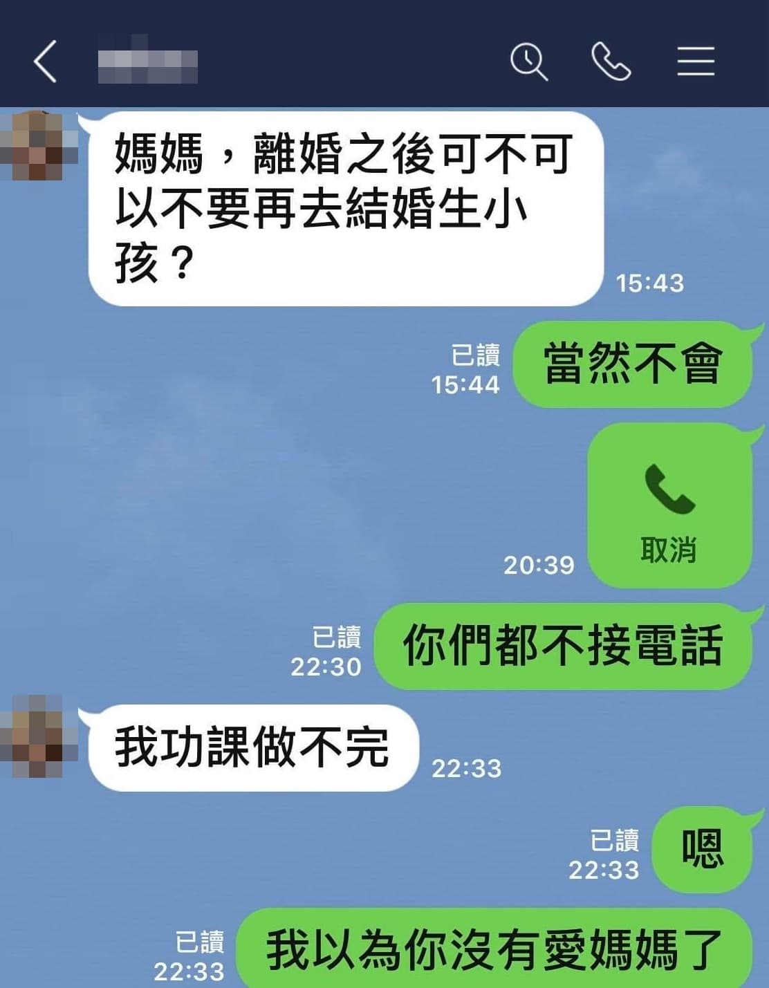 愛子希望何如芸不要再婚生子，讓她感到心痛。（翻攝自何如芸臉書）