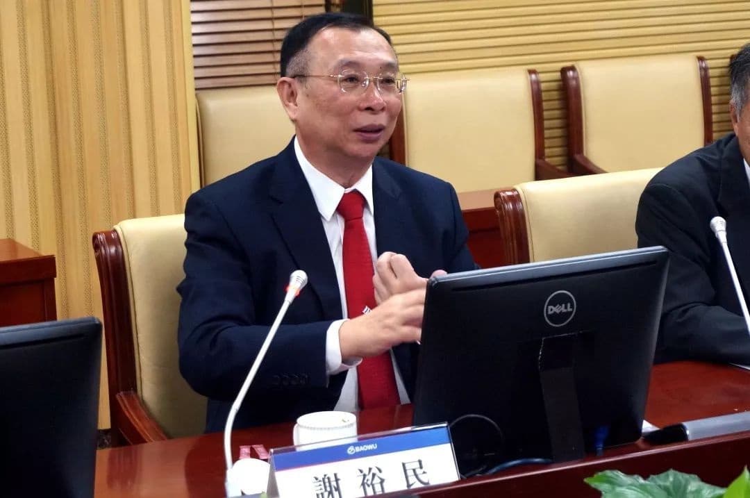 爆料人自稱是台鋼集團離職人員，點名台鋼集團會長謝裕民覬覦友訊龐大現金和低負債。（翻攝自寶武集團官網）
