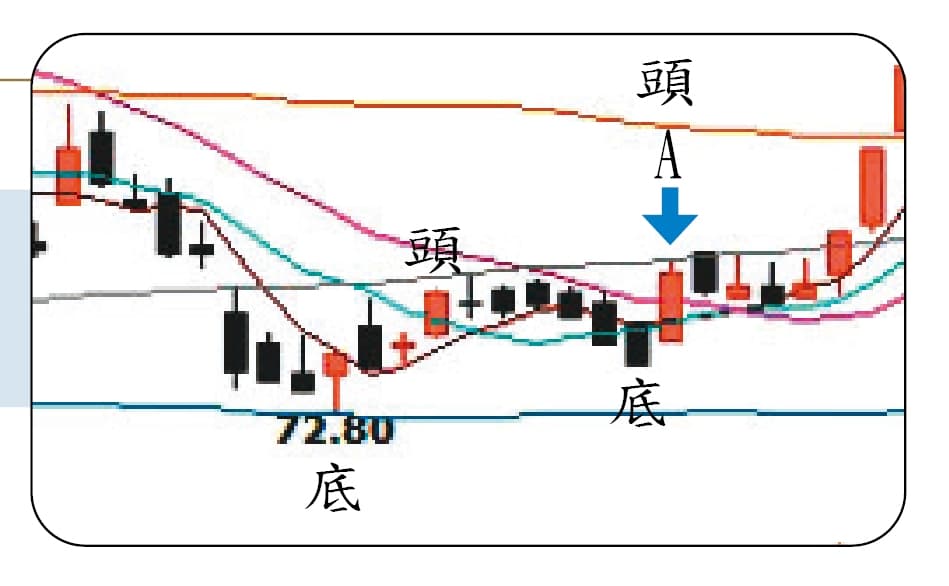 楊燁提供