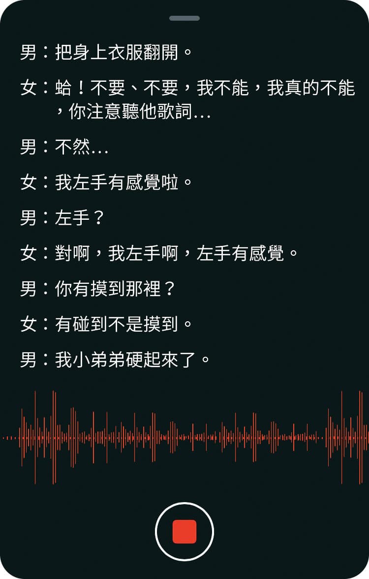 根據錄音檔以及Skype對話顯示，陳麗娜與陳世宗宛如交往中的男女，她稱遭指導教授猥褻情節，全是瞎掰杜撰。（示意圖）