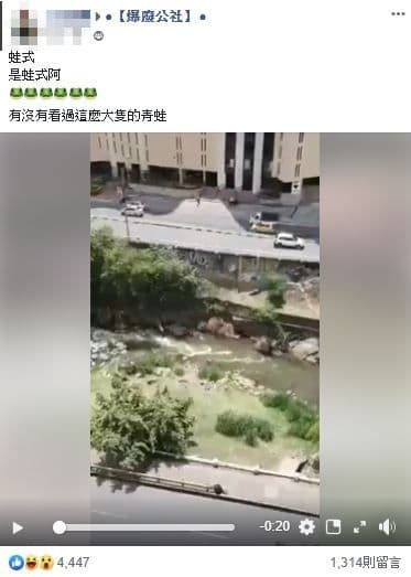一名網友在臉書社團PO出春光畫面。（翻攝自爆廢公社）