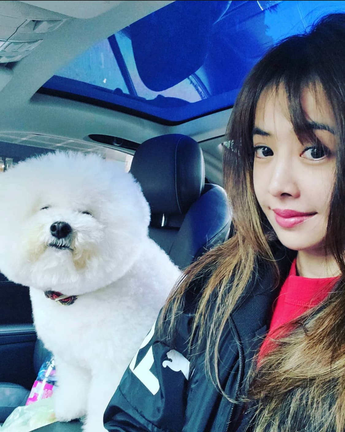Jolin對寶貝比熊犬「屋虎」疼愛有加，常帶著牠一起上工。（翻攝自蔡依林IG）