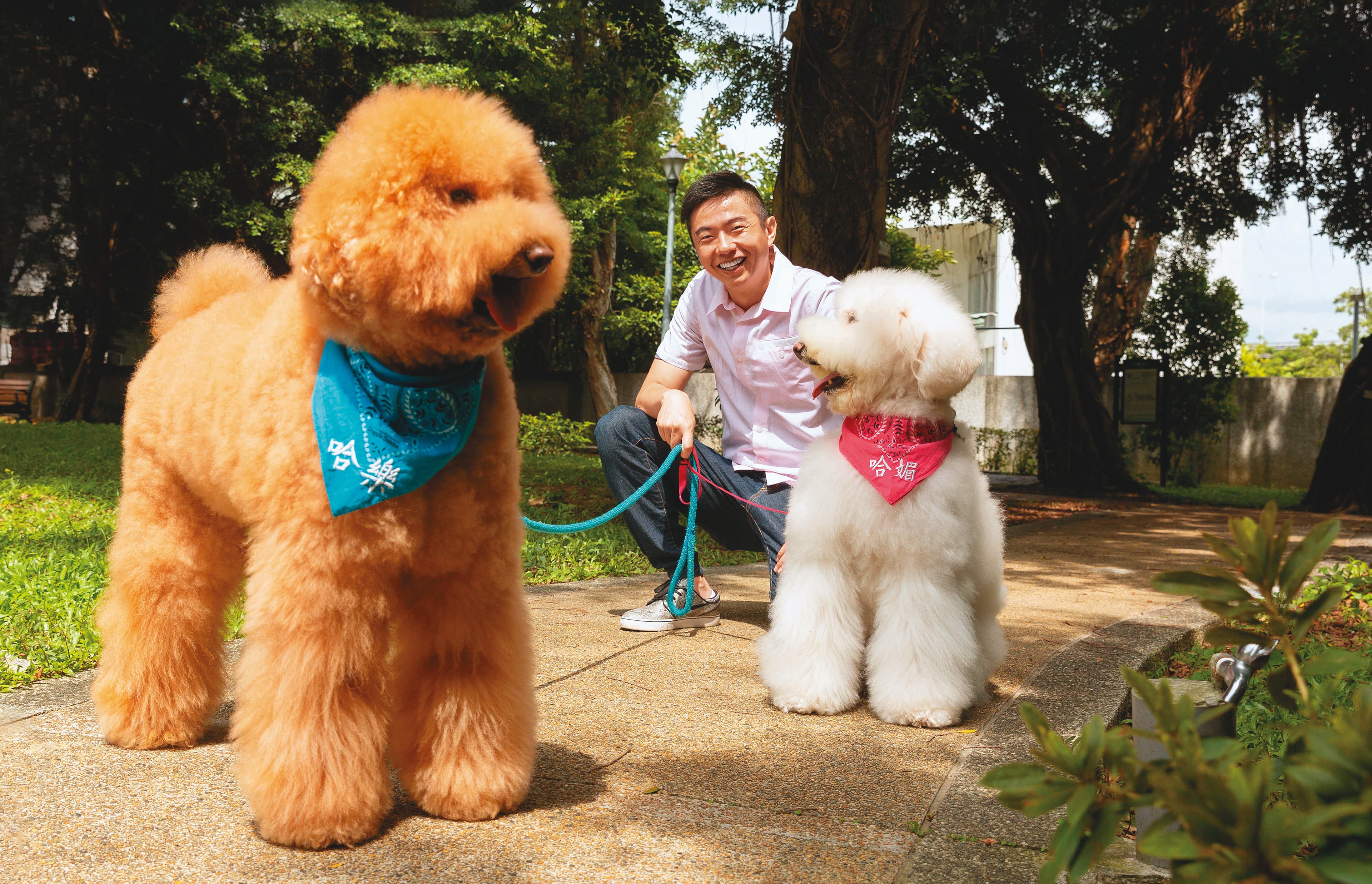 熊爸帶著明星犬哈樂跟哈媚接受訪問，兩隻經過訓練的狗狗配合度很高。