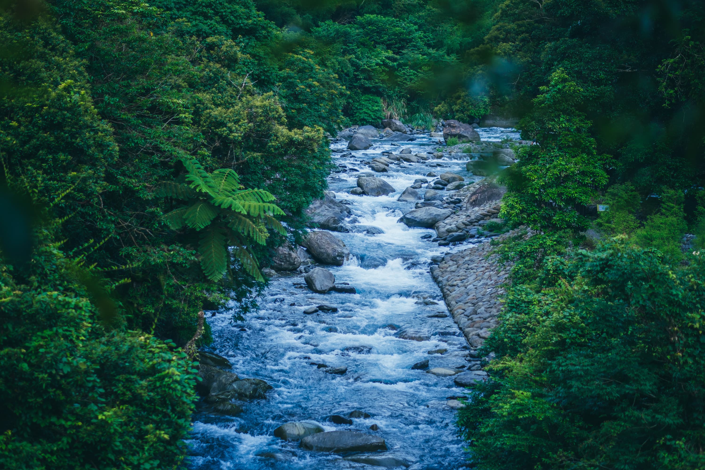 步道上的觀景台可遙望溪水悠悠流動。