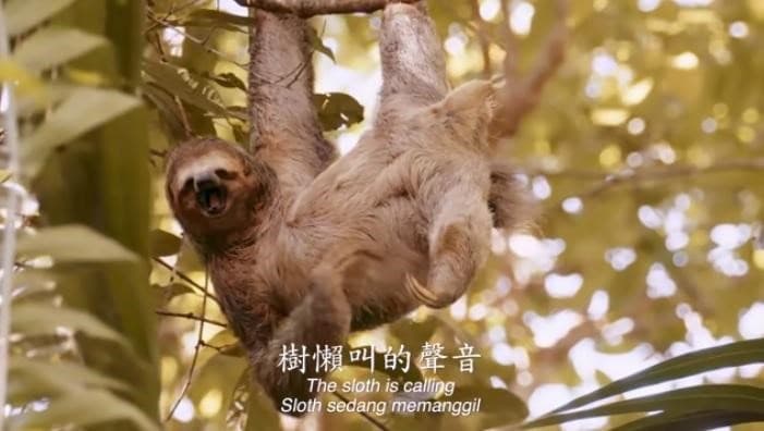 黃明志喜歡在歌詞中加入讓粉絲看了會害羞的暗示性用語。（翻攝自黃明志Namewee YouTube）
