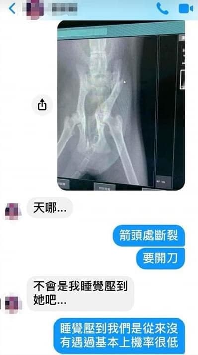 L小姐發現當初送養的幼貓異常虛弱，帶至寵物醫院就醫，發現該幼貓傷勢相當嚴重。（讀者提供）