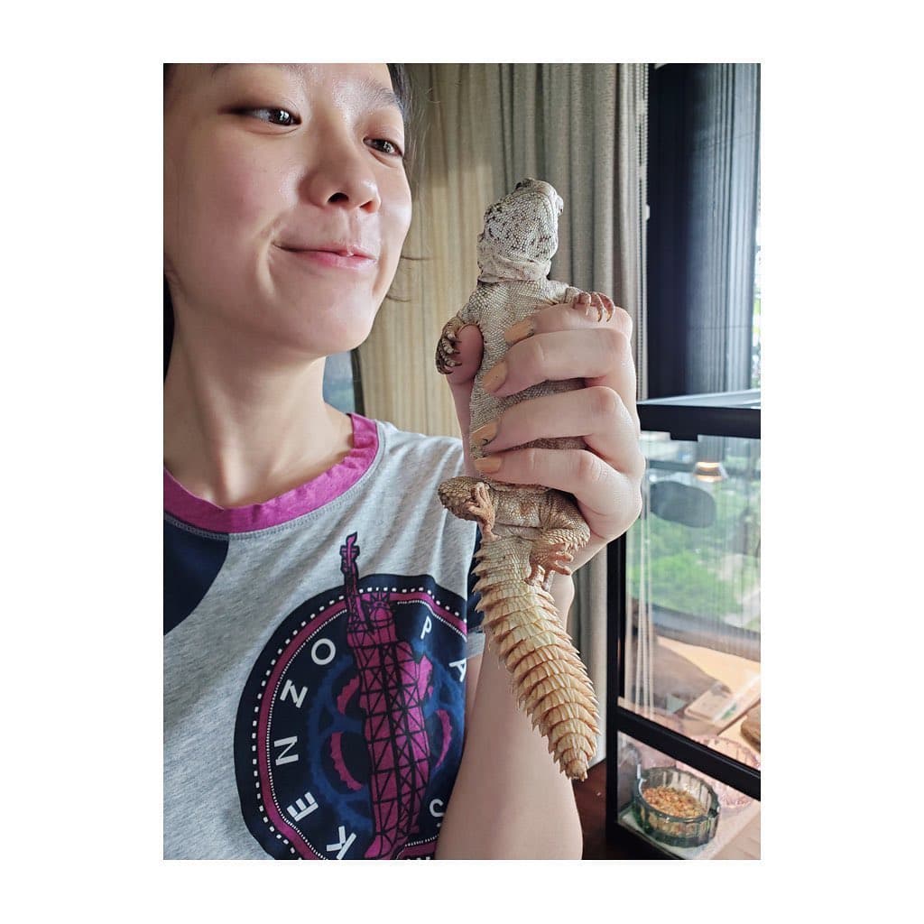 孟耿如為了愛寵守宮與蜥蜴特地買蟑螂等活體昆蟲親餵。（翻攝自孟耿如臉書）